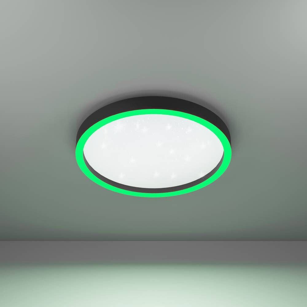 Pikkukuva 6