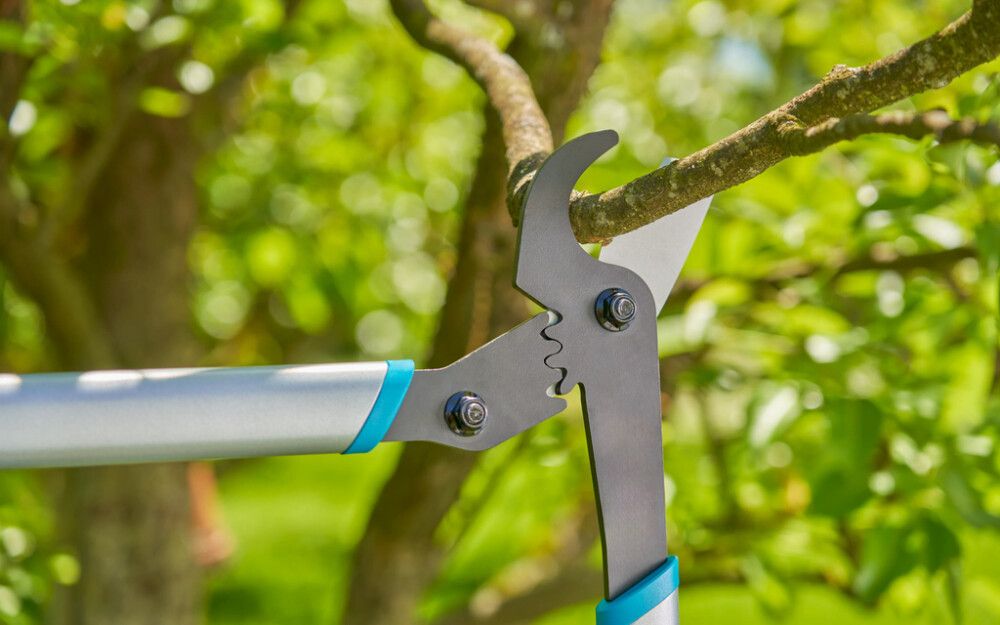 RAIVAUSSAKSET GARDENA ENERGYCUT BASIC