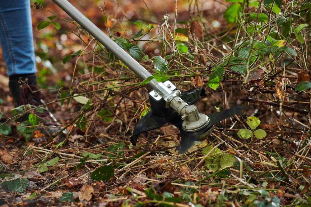 Ruohoraivaussaha Ryobi ONE+ RY18BCX26A-0