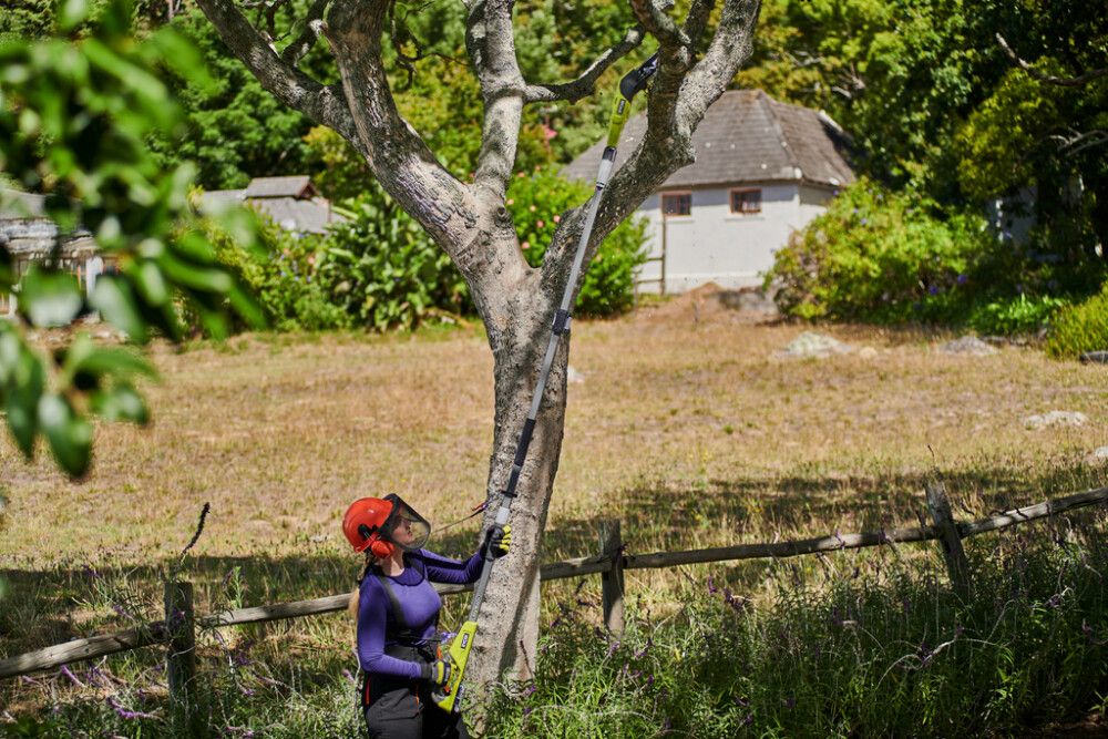 Akkuoksasaha Ryobi ONE+ RY18PP20A-0