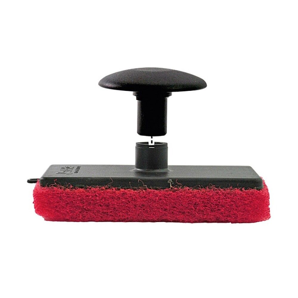 Keskikarhea hankaussieni Star brite punainen