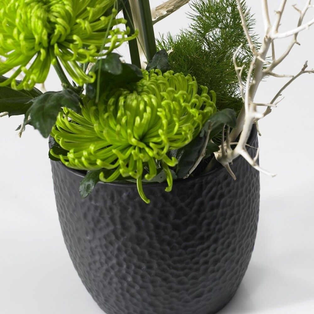 Suojaruukku Boston matta antrasiitti 24 cm