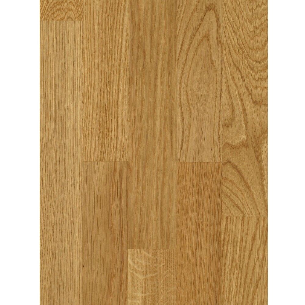 Parketti Parador Basic 11-5 Oak Nature Lacquered