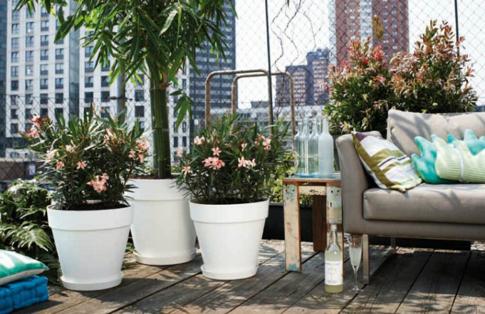 Aluslautanen Elho Loft Urban antrasiitti 17 cm