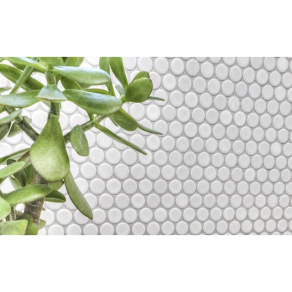 Mosaiikkilaatta Knopf Uni 110N Valkoinen 30,5 x 32 cm