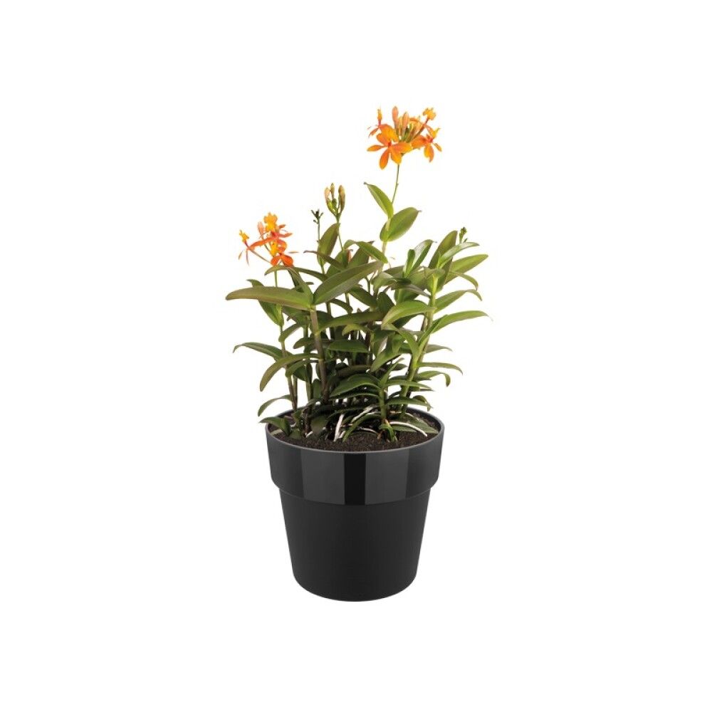 Suojaruukku Elho B. For Original musta 22 cm