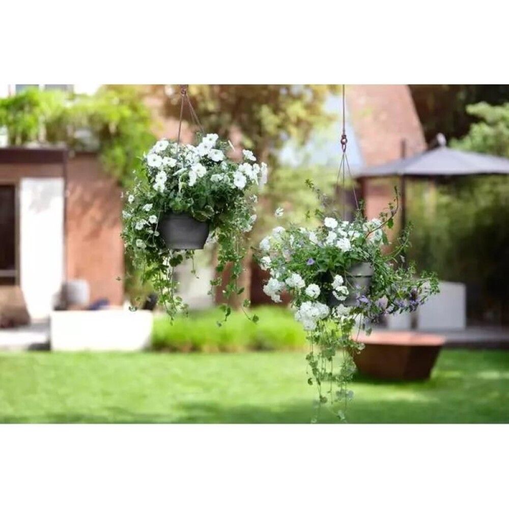 Amppeli Elho Vibia Campana antrasiitti 26 cm