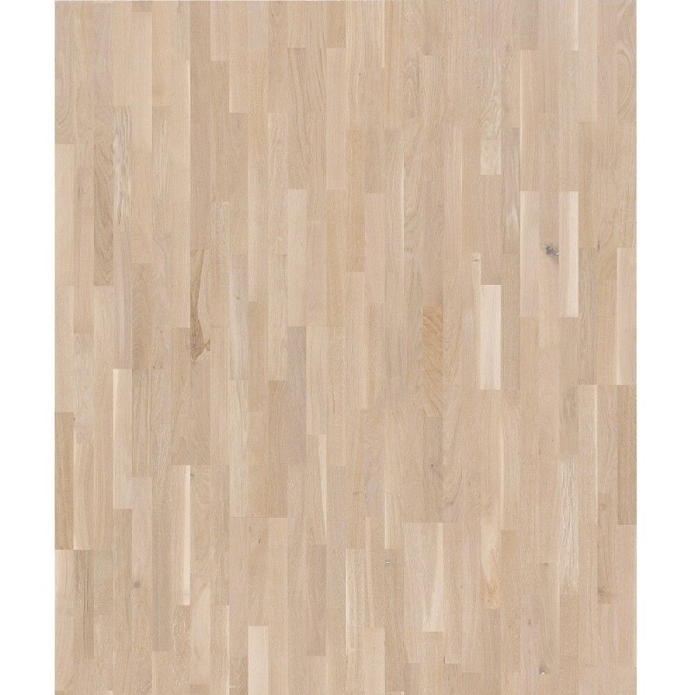 Parketti Parador Basic 11-5 Oak Rustic White Matt Lacquer