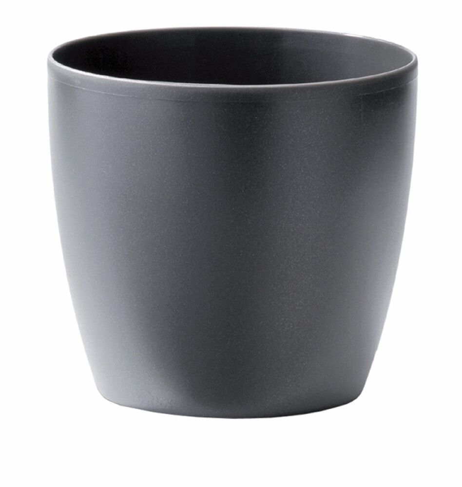 Suojaruukku Elho Brussels antrasiitti 25 cm