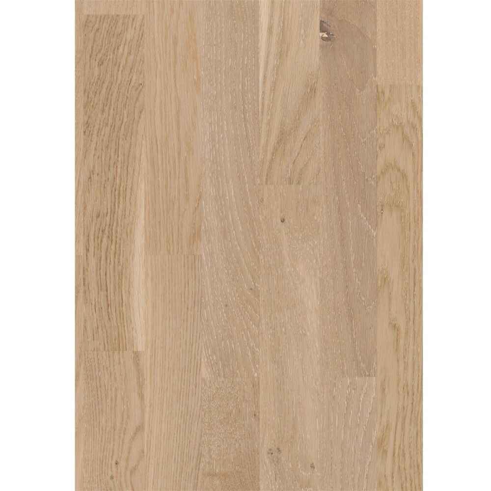Parketti Parador Basic 11-5 Oak Rustic White Matt Lacquer
