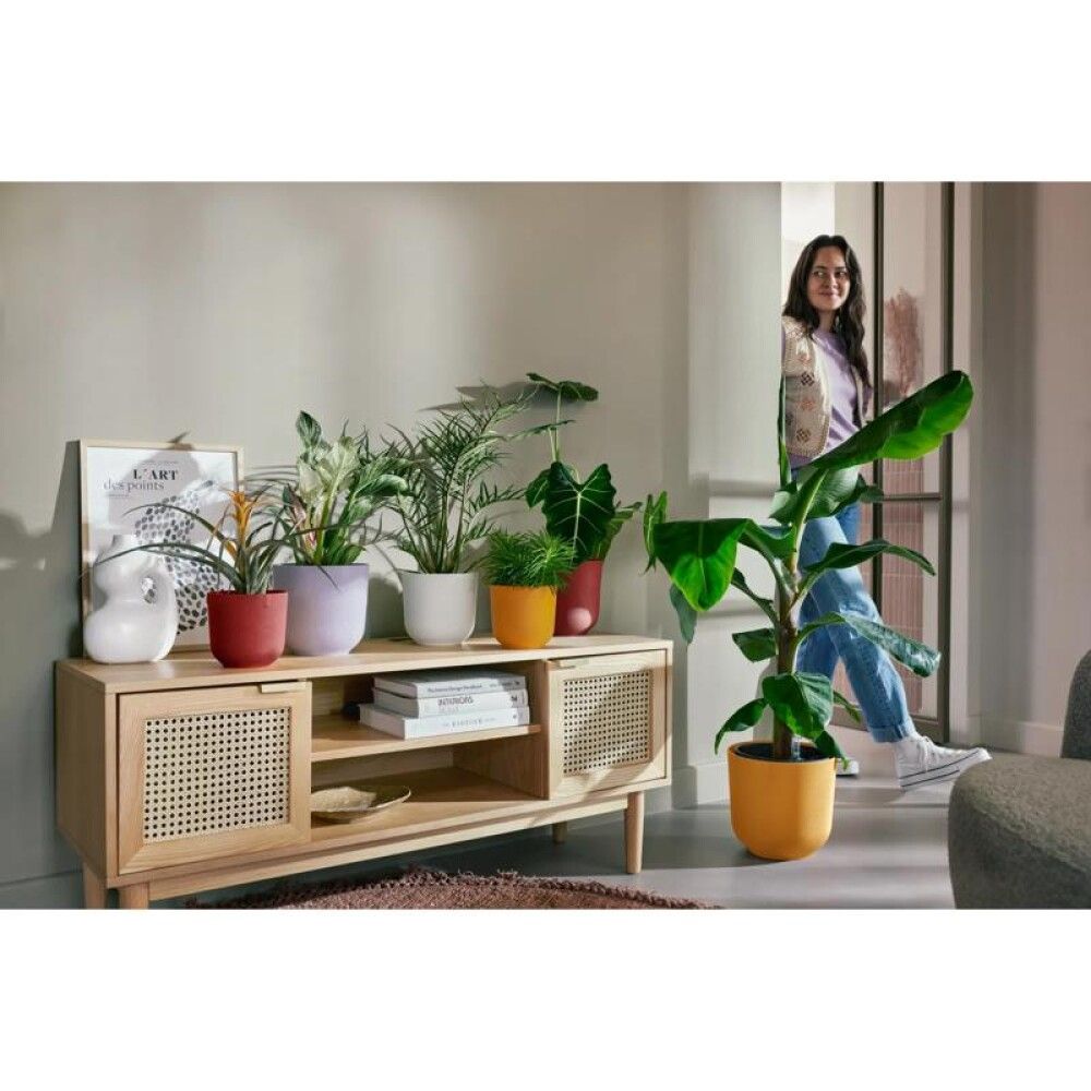 Suojaruukku Elho Jazz punainen 14 cm