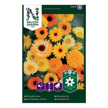 Kehäkukka Nelson Garden Tarha väriseos