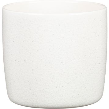 Suojaruukku Scheurich 900 valkoinen 28 cm