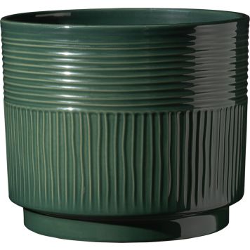 Suojaruukku Soendgen Nara Sabi tummanvihreä 16 cm