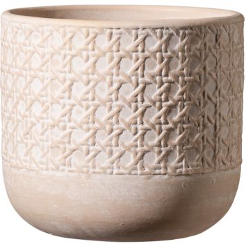 Suojaruukku Vienna beige 15 cm