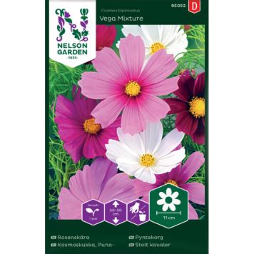 Punakosmoskukka Nelson Garden Vega Mixture