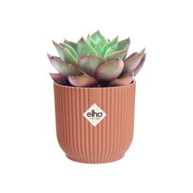 Suojaruukku Elho Vibes Fold 11 cm pinkki