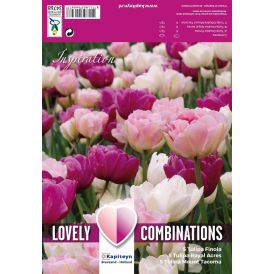Kevätkukkasipuli Tulppaani Double Pink Purple White 15 kpl