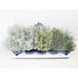 Hopeakäpälä Silver Land Ø 12 cm