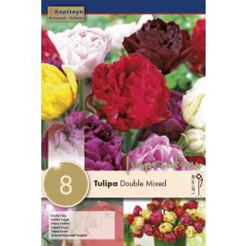 Syyskukkasipuli Tulppaani Double Mix 8 kpl