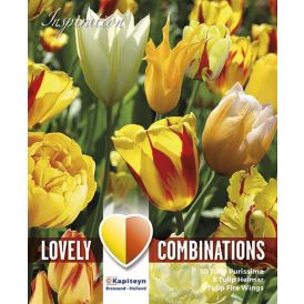 Kevätkukkasipuli Tulppaani Sunny Delight Blend 15 kpl