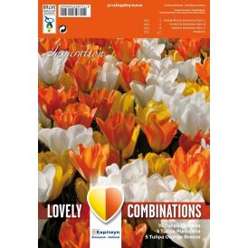 Kevätkukkasipuli Tulppaani White Yellow Orange 20 kpl