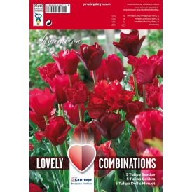 Kevätkukkasipuli Tulppaani Red Shades 15 kpl