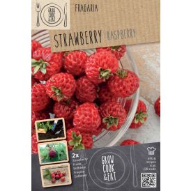 Mansikka Kapiteyn Raspberry 2 kpl