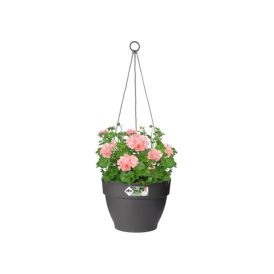 Amppeli Elho Vibia Campana antrasiitti 26 cm