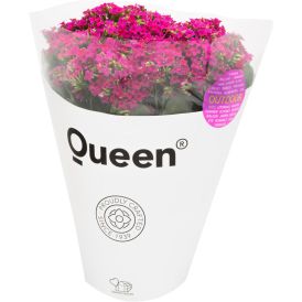 Patiotulilatva Ø 21 cm