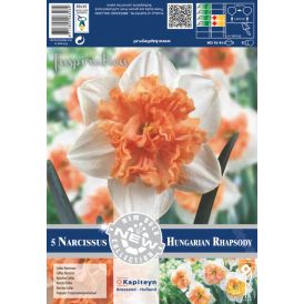 Kevätkukkasipuli Narsissi Collar Hungarian Rhapsody 5 kpl
