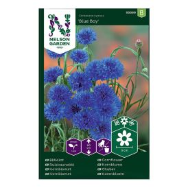 Ruiskaunokki Nelson Garden Blue Boy