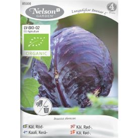 Keräkaali Nelson Garden Langedijker Bewaar