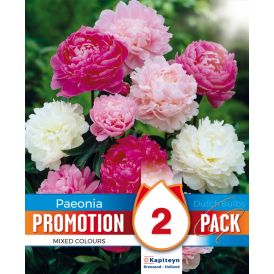 Kevätkukkasipuli Promotion Paeonia Mix 2 kpl