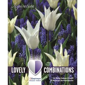 Syyskukkasipuli Tulppaani&Muscari lajitelma sinivalkoinen 25 kpl