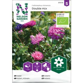 Kiinanasteri Nelson Garden Double Mix