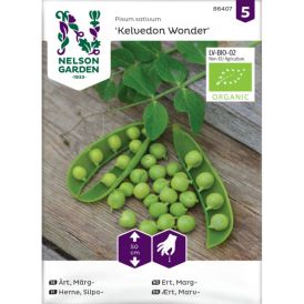 Silpoherne Nelson Garden Kelvedon Wonder Pisum Sativum