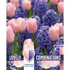 Syyskukkasipuli Tulppaani&Hyasintti lajitelma sini-pinkki