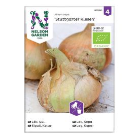 Keltasipuli Nelson Garden Stuttgarter Riesen