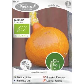 Jättikurpitsa Nelson Garden Uchiki Kuri