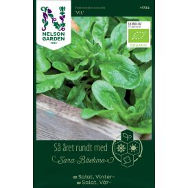 Salattivuonankaali Nelson Garden Vit