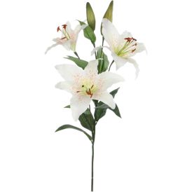 Silkkikasvi lilja X3 valkoinen