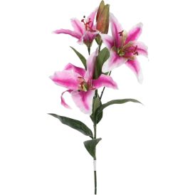 Silkkikasvi lilja X3 vaaleanpunainen