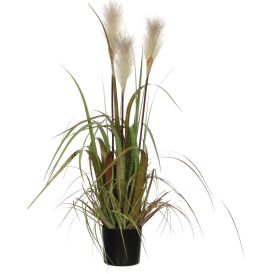 Silkkikasvi Heinä 81 cm