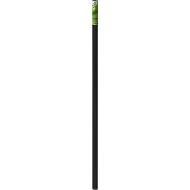 Hyönteisverkko Lasikuitu Easy Life 150 x 250 cm Antrasiitti