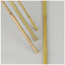 Kukkakeppi bambu 120 cm 5 kpl