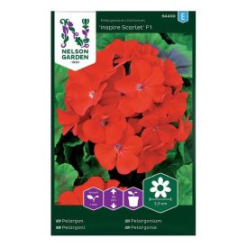 Pelargoni Nelson Garden Inspire Scarlet