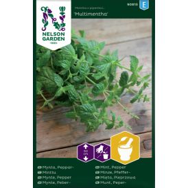Minttu Nelson Garden Multimentha