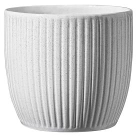 Suojaruukku Soendgen Belice valkoinen 19 cm