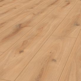 Laminaatti Logoclic Edition Sunshine Oak 8 x 245 x 1288 mm